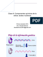 Clase 8 Acidos Nucleicos