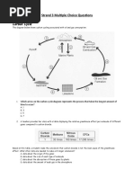 Strand 3 Multiple Choice Questions