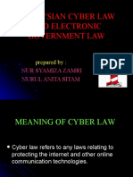 Malaysian Cyber Law