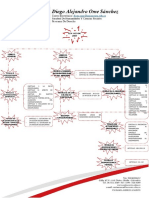 Diego Ome Mapa Conceptual Ley 1123.07