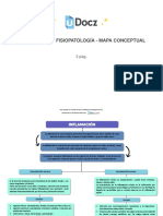 Inflamacion Fisiopatologia Mapa Conceptual 1 Downloable