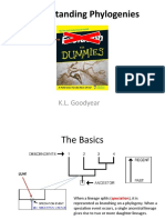 Understanding Phylogenies