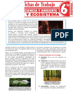 Examen Ecología y Ecosistema para Sexto Grado de Primaria