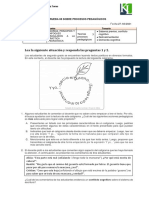 Prueba 08 de KLL Procesos Pedagógicos