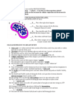 CELLULAR RESPIRATION Review Worksheet KEY Vufgte