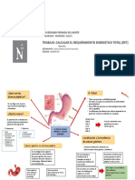 H. Pylori-Ulcera Gastrica