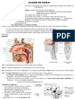 Cancer Du Cavum