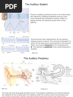 The Auditory System: B. The Intensity of Amplitude of The Sound Measured in