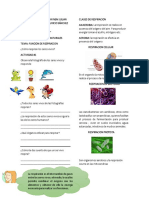 Guia #5 Ciencias Grado 4°