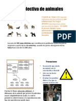 Cría Selectiva de Animales