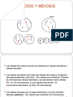 Mitosis y Meiosis UNSAAC