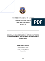 301024248tesis Doctoral Quitosano para Huesos