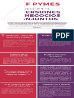 Niif Pymes Seccion 15