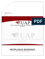 Informe 6 - Neoplasias Benignas