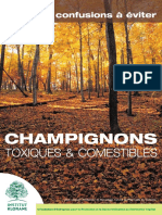 Champignons Toxiques Et Comestibles