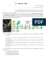 Ficha de DNA e Sintese Proteica - Correccao