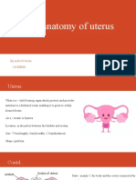 Clinical Anatomy of Uterus