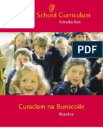 Primary School Curriculum