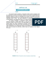 Capítulo 13 Compresión Simple 2021