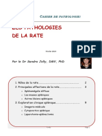 Les Pathologies de La Rate