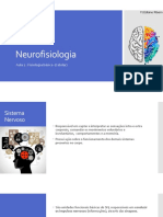 Neurofisiologia