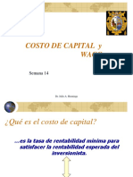  Costo de Capital & WACC