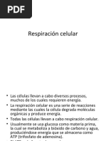 Respiracion