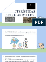 Características Animales y Clasificación