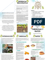 Tuberosas y Raíces-G1