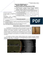 Guia de Aprendizaje N°3 Primero Medio - Física: Estructuras Cósmicas y Bases de La Astronomía en Chile