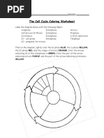 The Cell Cycle Coloring Worksheet: Yellow