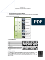 PRÁCTICA N10 Imagenología