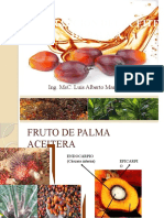 Ext Del Aceite de Palma-Tocache