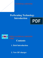 Perforating Technology: China National Logging Corp