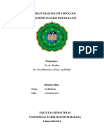 M Ridwan - Endocrine System Physiology