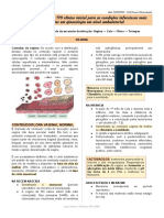 Condições Infecciosas Mais Prevalentes em Ginecologia em Nível Ambulatoria - 14 - 09 - Osvani