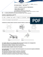 2 Ano - Atividade de Revisão - Artrópodes, Moluscos e Equinodermos