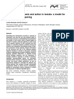 Ethylene Biosynthesis and Action in Toma