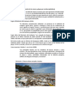 Contaminación de Los Mares y Playas Por Residuos