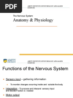 Central Nervous System