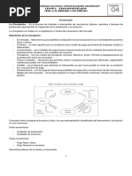 Pract. 04 - Economia Sin Claves