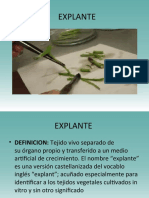 EXPLANTE 2020 Clase Cultivo de Tejidos