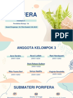 Porifera Kel. 3