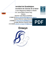 Ensayo Seminario de Integración Materno-Infantil 