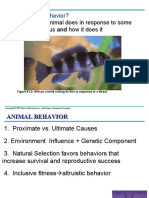 Proximate Causes and Ultimate Causes of Animal - Behavior