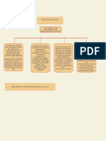 Mapa Conceptual Registro Mercantil