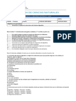 Prueba 5° Básico El Sistema Digestivo Fila A