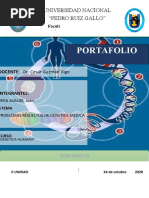 Portafolio Problemas Vera