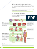 Biología Básica