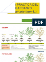 Guia Practica Garbanzo Syngenta Cuba